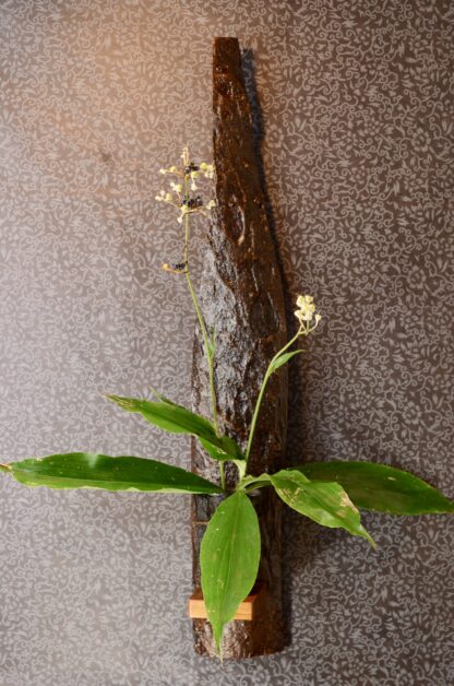 漆花器 :壁掛け花