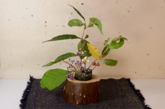 自然木の花器