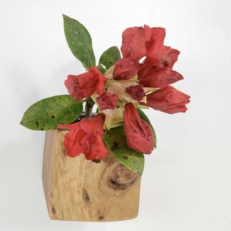 自然木の花器 :壁掛け花兼用