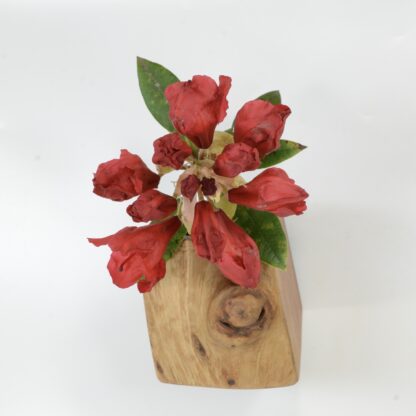 自然木の花器 :壁掛け花兼用