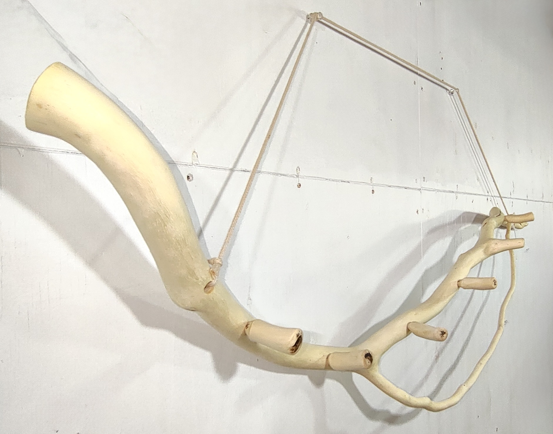 自然木・小枝のアクセサリーフック